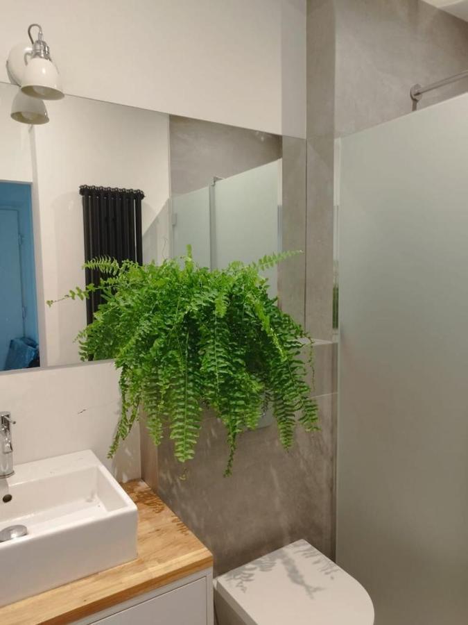 קרקוב Urban Nest Apartments Brodowicza 14 מראה חיצוני תמונה
