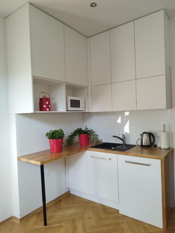 קרקוב Urban Nest Apartments Brodowicza 14 מראה חיצוני תמונה